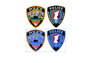 do vector tracing or redraw any image and logo