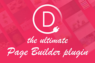 design professional website using divi builder