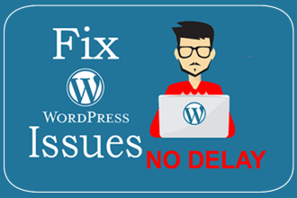 fix wordpress issues or fix woocommerce error