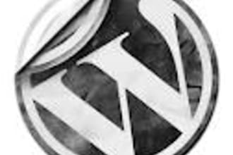 install wordpress and install any wp theme