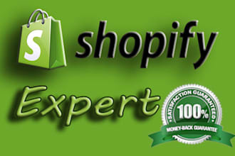 make customize professional shopify website shopify store