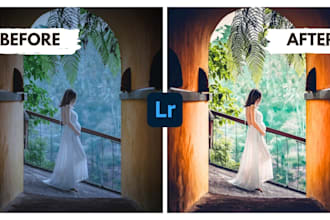 create premium custom lightroom presets for resell or personal use