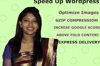 speed up wordpress site or google page speed score