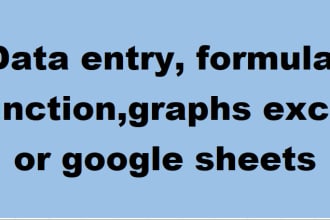 do data entry, formula, function,graphs excel or google sheets