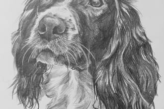 draw a portrait of your pet