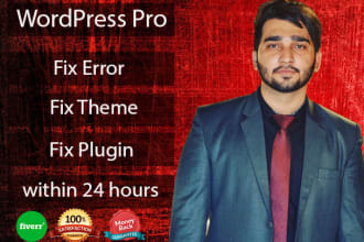 fix wordpress errors , bugs , updates , issues in 12hrs