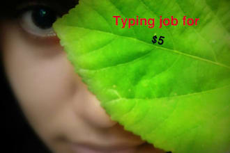 do best typing job