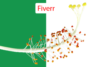 remove background and do clipping path for 15 images in 12 hours