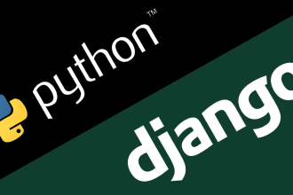 develop a website for you using python django and HTML css