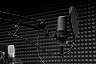 do professional hindi voice over