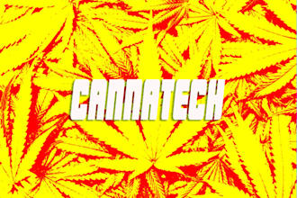 set up your cannabis website and domain