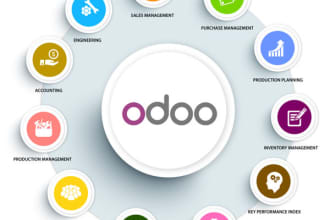 do your erp, crm odoo development