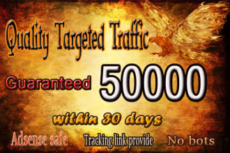 drive 50k usa niche targeted,visitors website,traffic