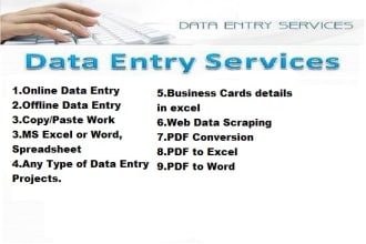 do excel word data entry work