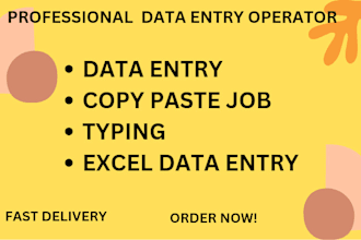 do copy paste, data entry, web research, fast typist