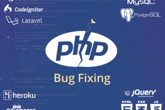 resolve issues in PHP or laravel framework websites