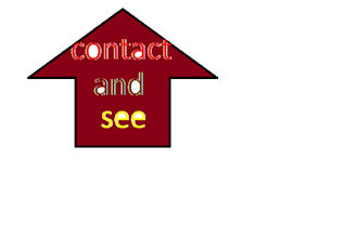 provide expert educational guidance