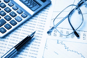provide you with online accounting and taxation services