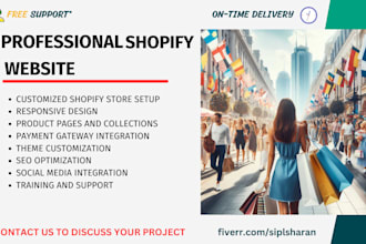 create a professional shopify website