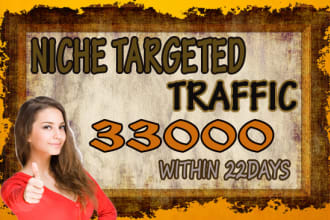 drive 33,000 genuine niche targeted website,traffic,visitors