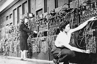 do IT And Computer Networking Tasks and assignments