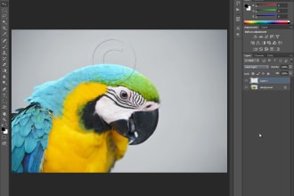 make watermark on your images
