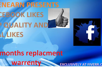 give 4000 High Quality Real, Active Facebook Likes
