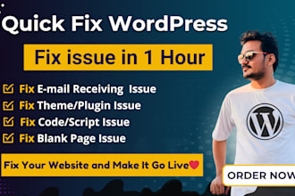 fix wordpress issues, fix SMTP email issue, woocommerce issues and website error