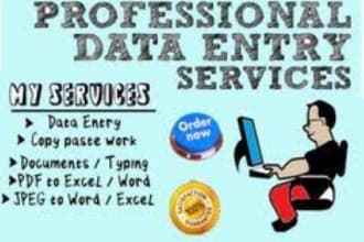 offer accurate data entry, power bi and tableau dashboards