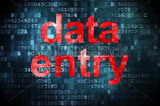 do data entry work