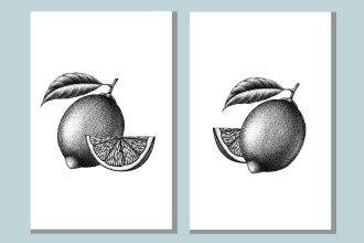 draw beautiful ink botanical illustration