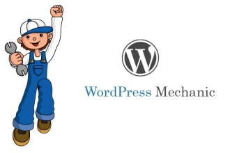 fix wp bug css issue wordpress php error design problem fast