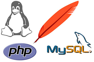 install configure and secure linux server