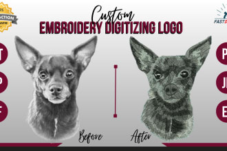 do professional embroidery digitizing in hours