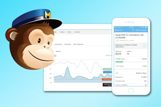 be your mail chimp guru