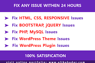 fix any issue of website with 24 hours