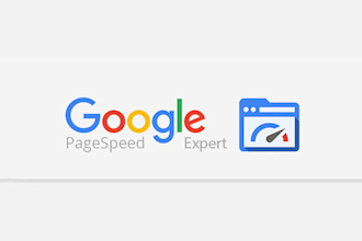 do speed optimization with insight or gtmetrix