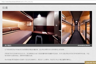 translate eng website into chinese professionally
