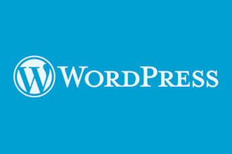 design a wordpress website or blog