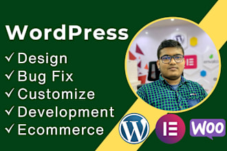 professional wordpress website design customization and bug fix with elementor