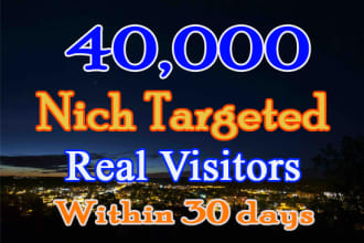 drive real 1300 daily visits to your website unlimited  traffic