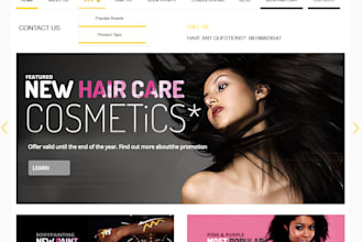 create your ecommerce store in a day