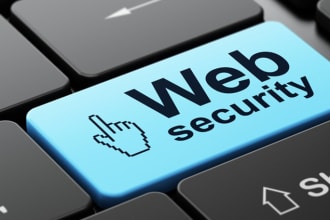 scan your website with acunetix, appscan and burpsuite pro or even do a pentest