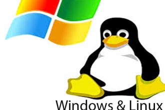 troubleshoot Linux or Windows Server