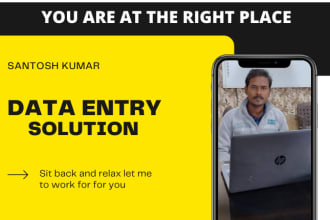 data entry services, pdf to excel or word and copy past work