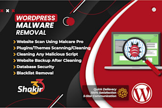 do wordpress malware removal and clean website