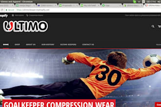 setup shopify online shopping store