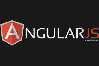 fix or add feature to your Angular or MEAN stack application