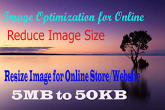 do image optimization for web