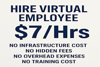 be your full time dedicated virtual SEO assistant